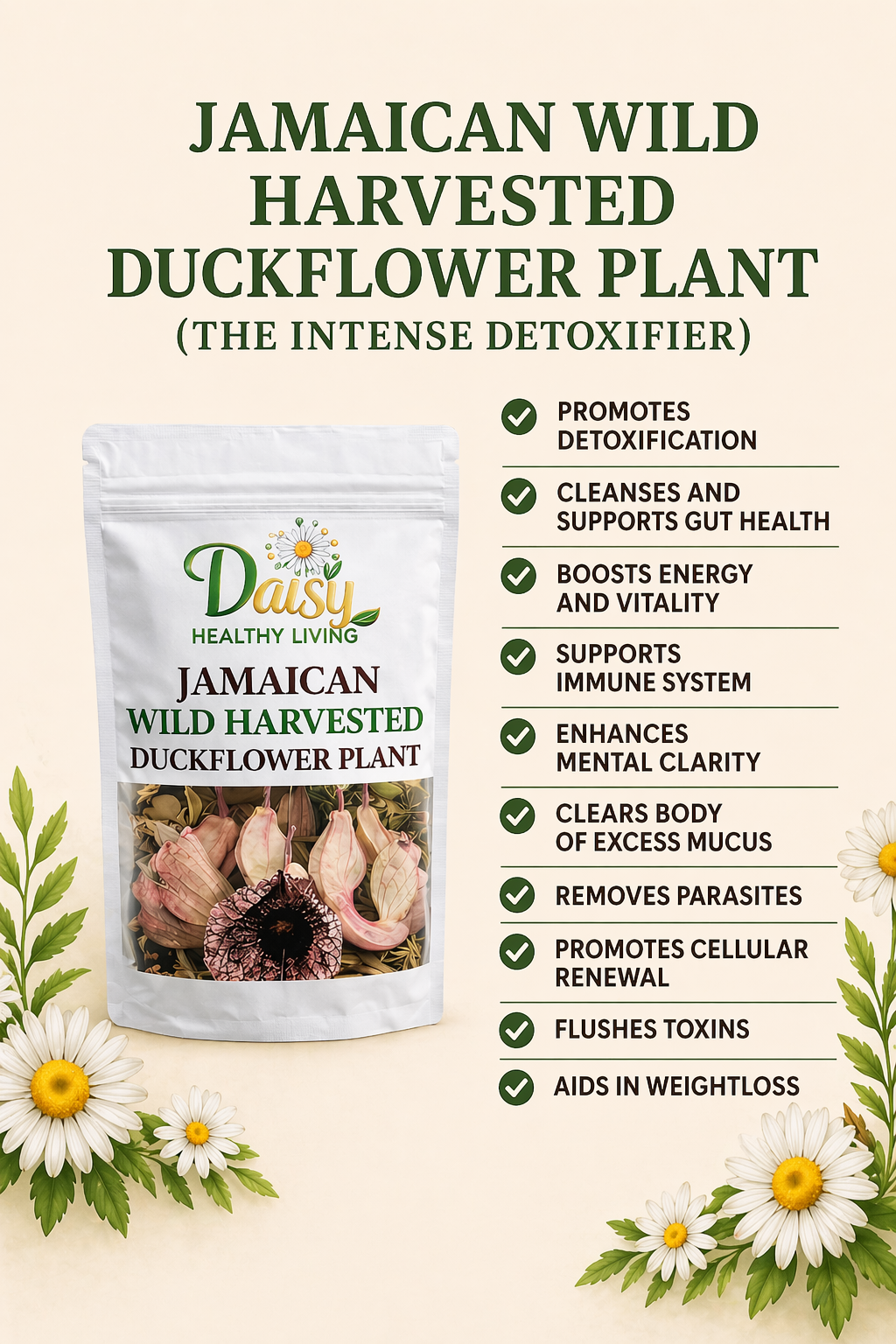 JAMAICAN DUCKFLOWER PLANT