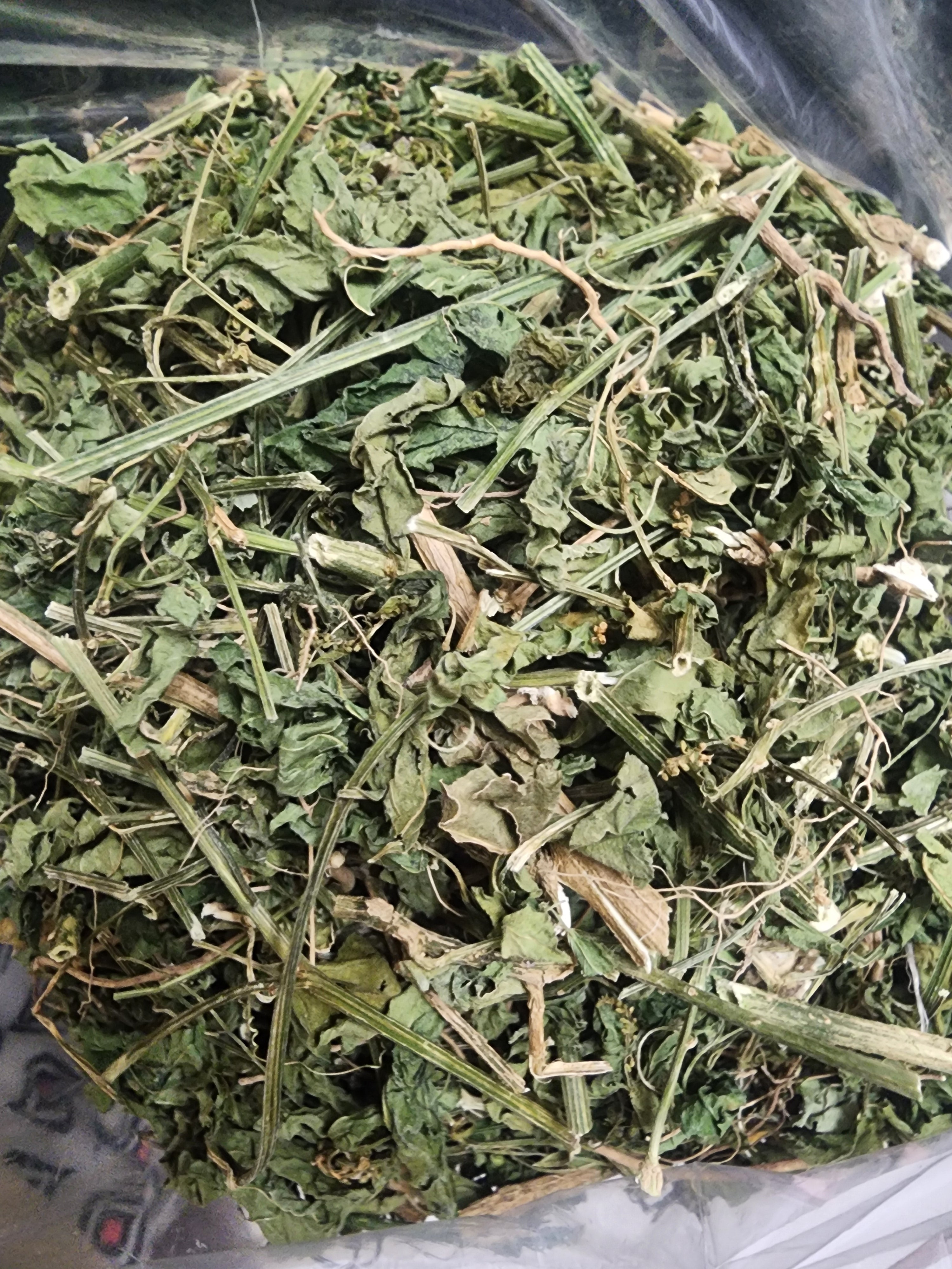 DOG BLOOD HERBS